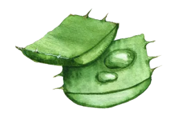 Bild als Stilelement